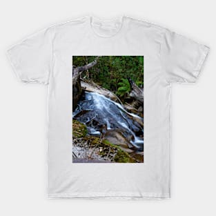 Taggerty Cascades #2 T-Shirt